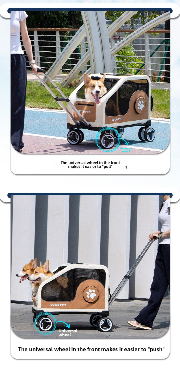 5c1b13aa-fcdd-4818-8056-31b936a5d75c