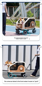 5c1b13aa-fcdd-4818-8056-31b936a5d75c