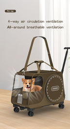 01a0a5c8-c3c7-4dd5-9c7e-e7fce81ad2dd