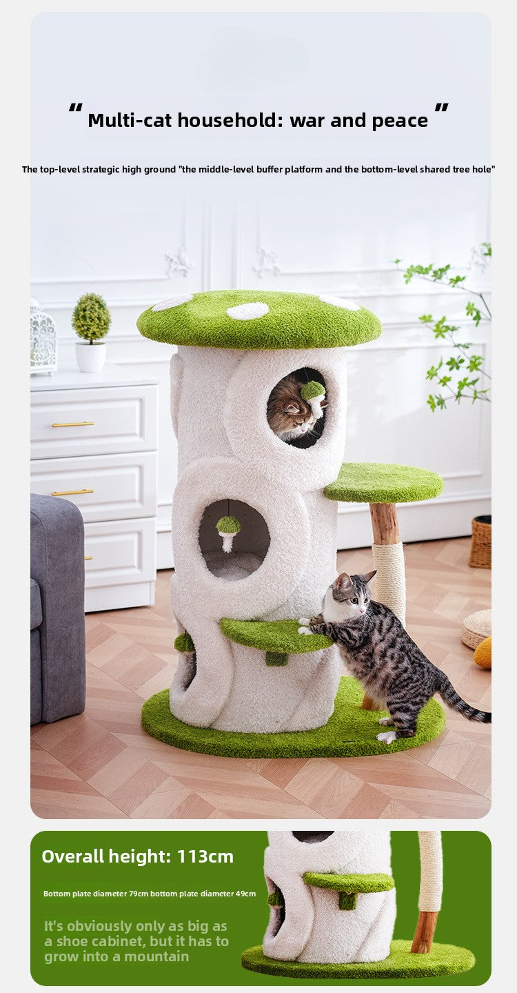 b31a2c4f-33f8-4852-a0b1-a11a163ef8d4