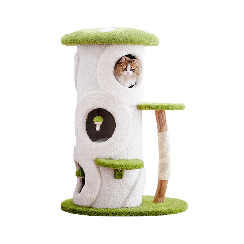 df77e0aa-03ec-4a03-9cb0-927562c4665b