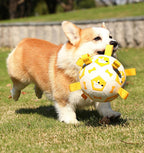 Pet football Outdoor interactive toys for dogs The molars are strong and durable. Pet dog training Dog toys
