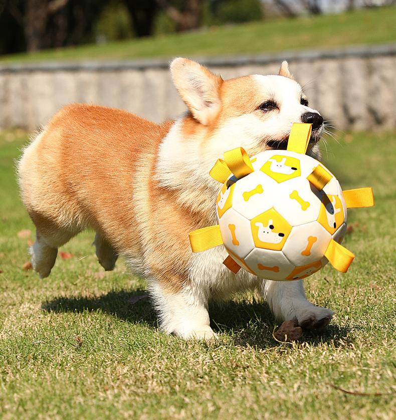 Pet football Outdoor interactive toys for dogs The molars are strong and durable. Pet dog training Dog toys