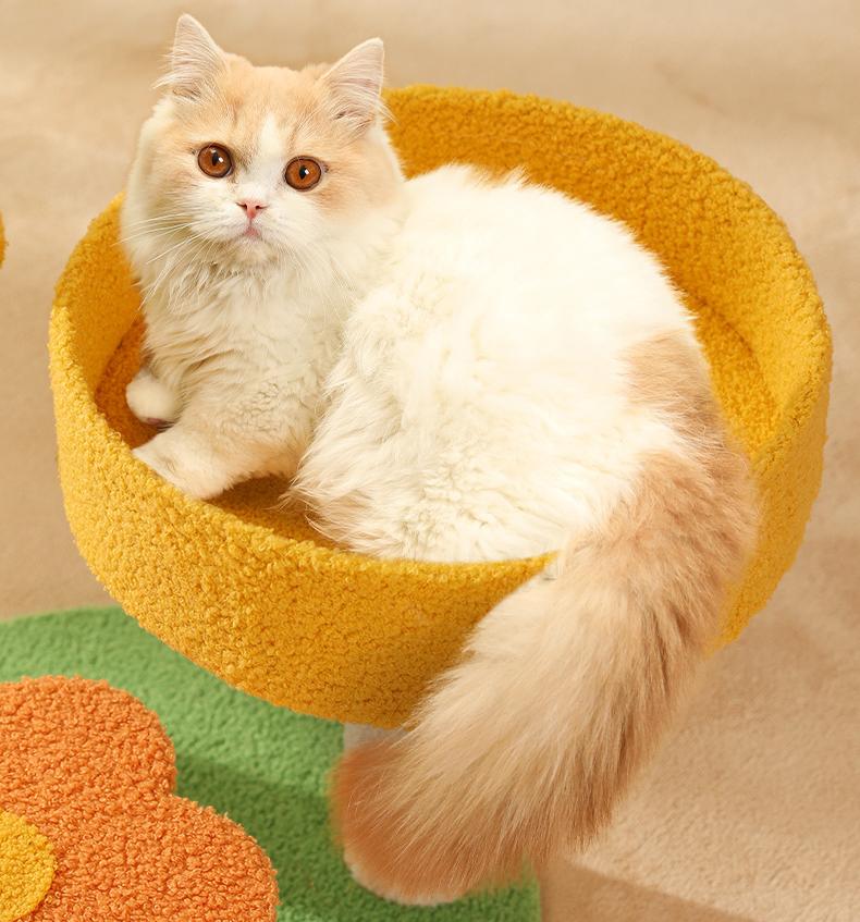 Cat climbing frame, cat bed, pumpkin style Jumping platform cat scratcher, small cat scratcher board Pet cat toys