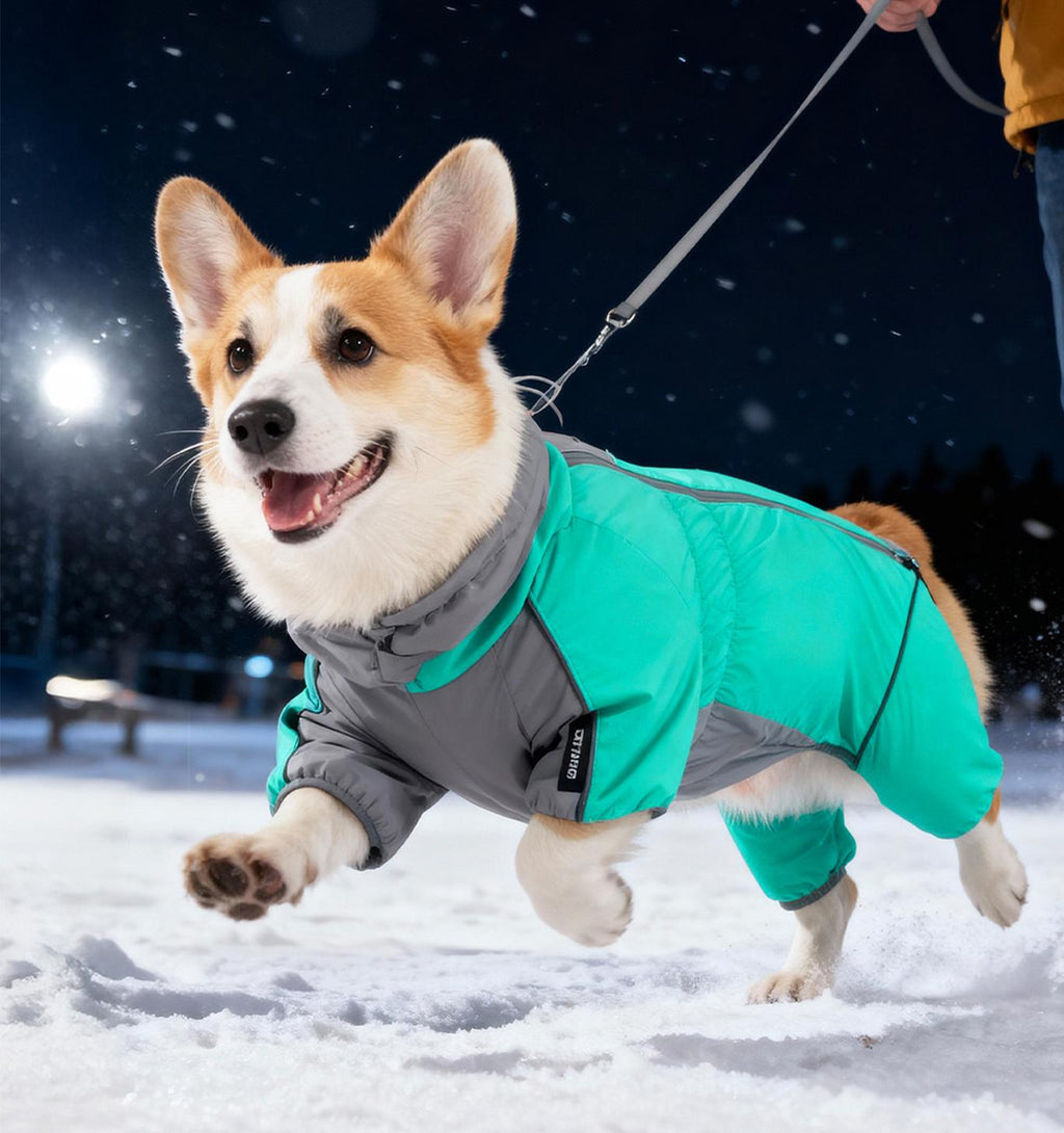 Winter dog clothes; Three-proof Corgi windbreaker with fleece. Waterproof pet clothing for medium-sized dogs going out in autumn and winter