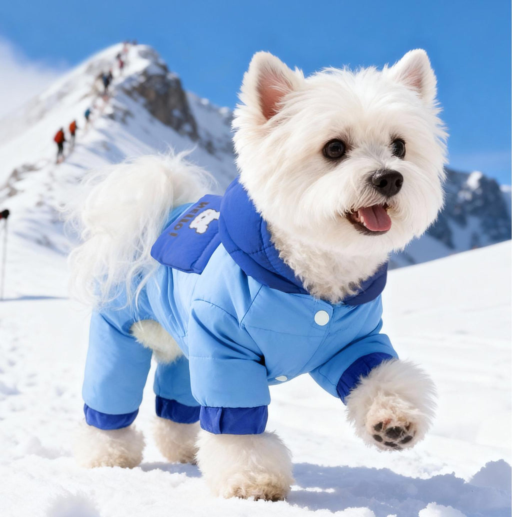 Little Bear pet down jacket Pet four-legged duck down drawstring windproof and warm down jacket Autumn and winter clothes for dogs and cats