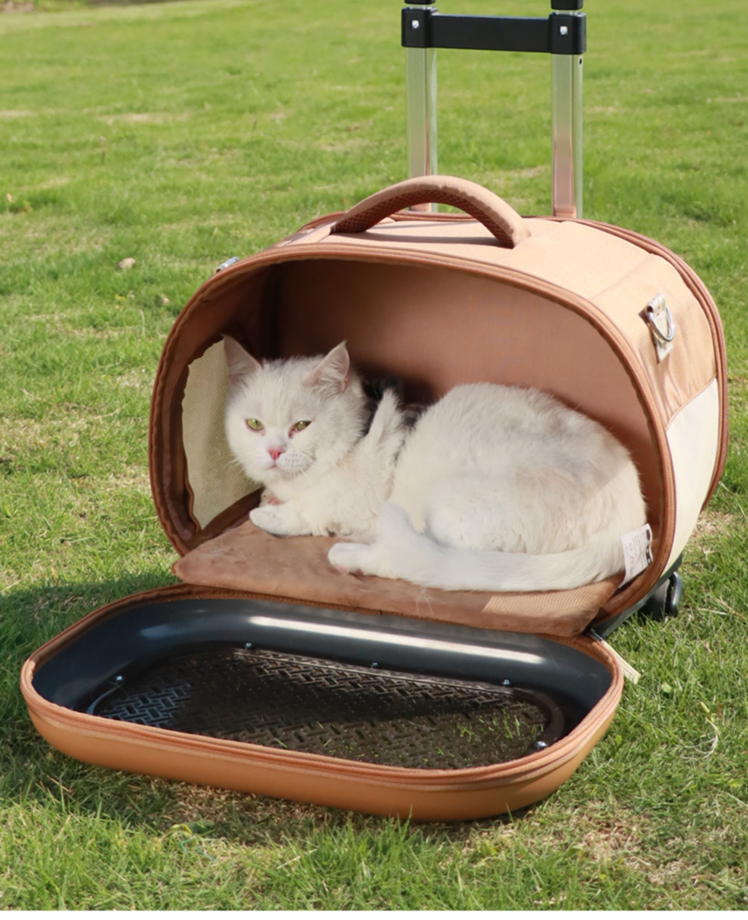 Multi-functional portable pet bag The cat bag is portable for going out. Large-capacity cat hand-held suitcase with pet handle