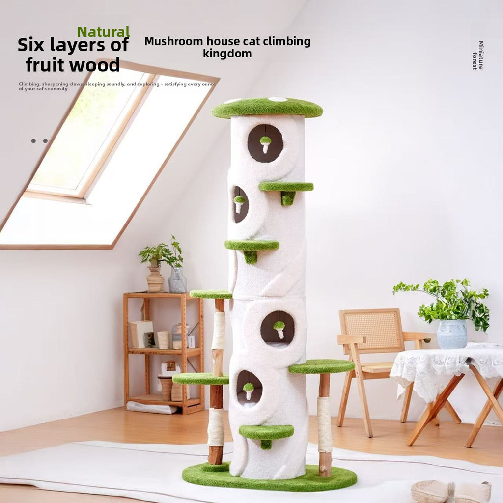 5009b2c5-9378-4c20-bca1-e69e9991cfbb