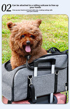 252d7647-2558-45e7-a1bb-130420b9f4dd