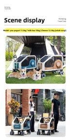 f98dd259-de36-4947-9ed7-91a958ba46ba