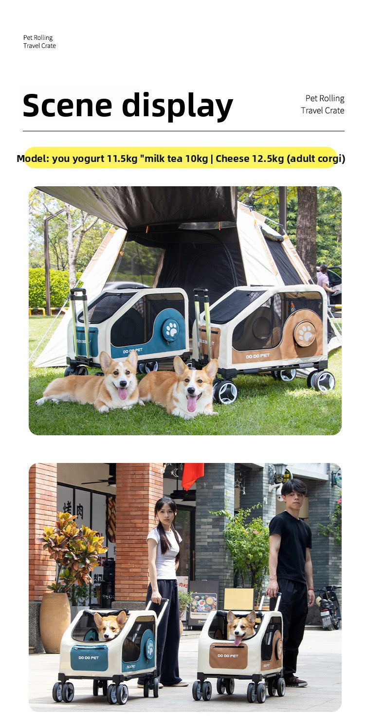 f98dd259-de36-4947-9ed7-91a958ba46ba