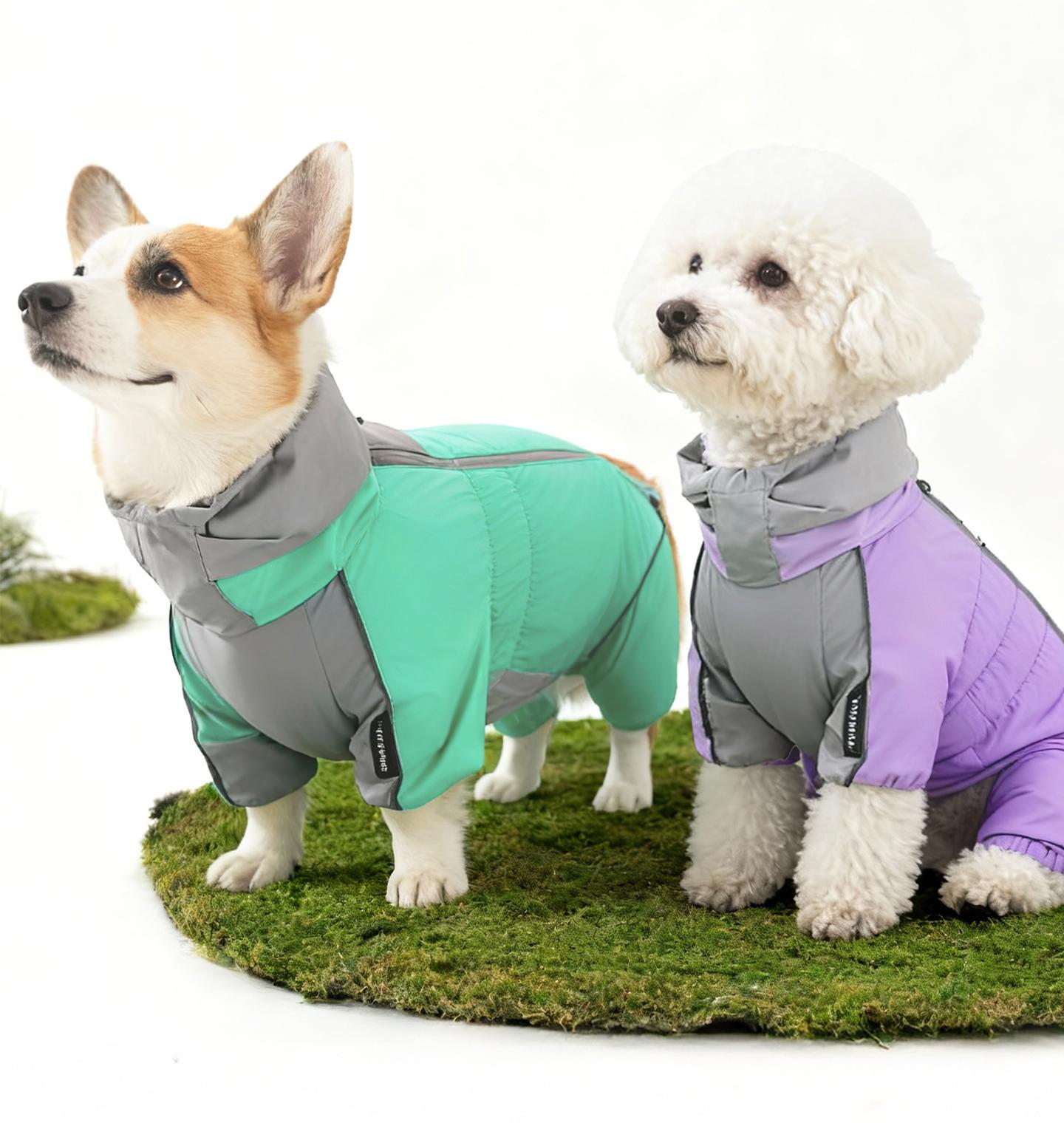 Winter dog clothes; Three-proof Corgi windbreaker with fleece. Waterproof pet clothing for medium-sized dogs going out in autumn and winter