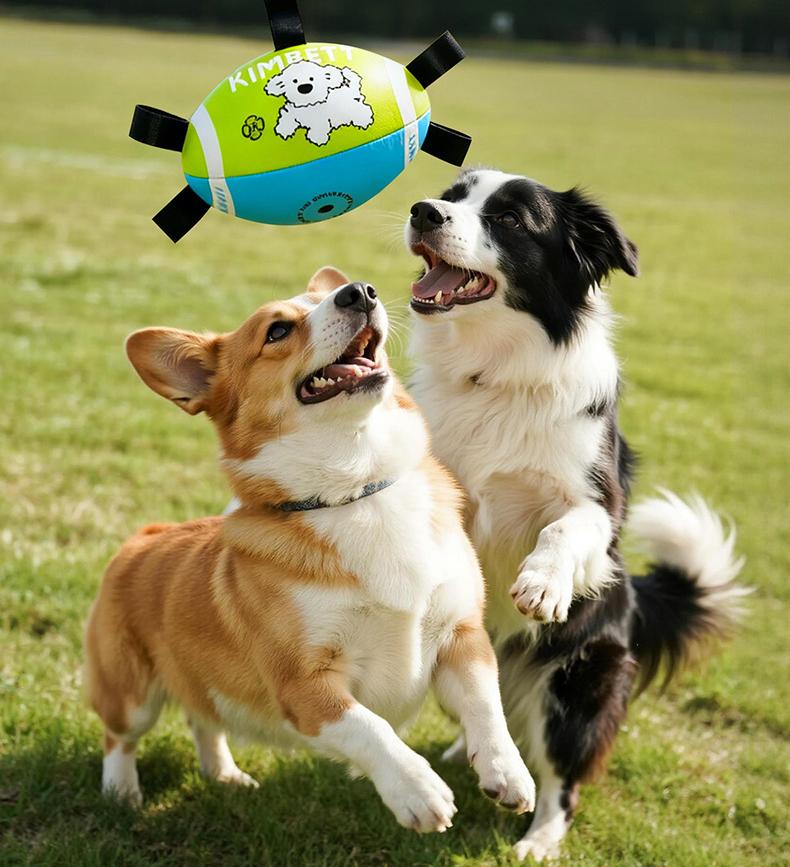 Outdoor dog toy rugby ball Outdoor toys for pets to enjoy themselves Specialized dog rugby for training