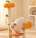 Cat climbing frame, cat bed, pumpkin style Jumping platform cat scratcher, small cat scratcher board Pet cat toys