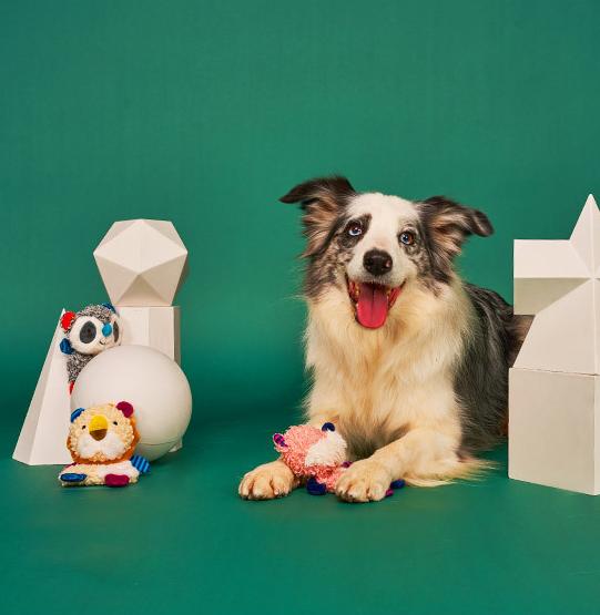 Dog toy noise paper; Tooth-grinding plush sound-making toy Puppies relieve boredom. Puppy pet toys