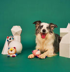 Dog toy noise paper; Tooth-grinding plush sound-making toy Puppies relieve boredom. Puppy pet toys