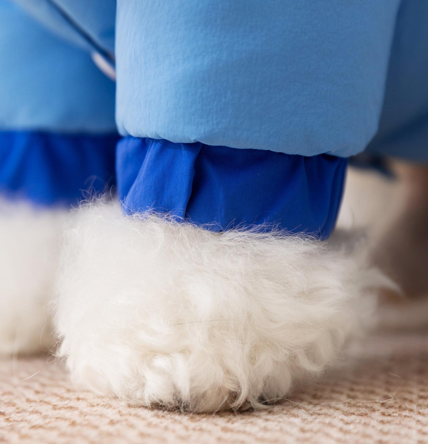 Little Bear pet down jacket Pet four-legged duck down drawstring windproof and warm down jacket Autumn and winter clothes for dogs and cats