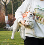 Pet cat single-shoulder strap; Portable crossbody cat bag for going out; Anti-escape cat slithering tool; Cat supplies