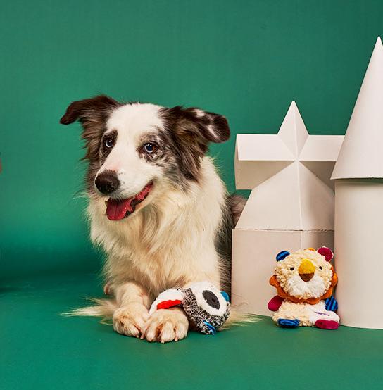 Dog toy noise paper; Tooth-grinding plush sound-making toy Puppies relieve boredom. Puppy pet toys