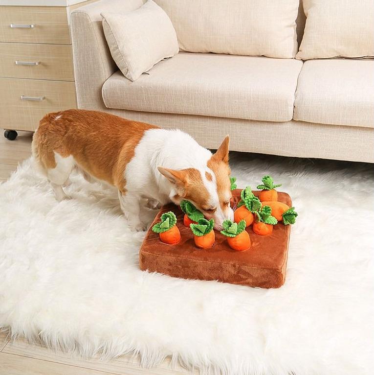 Pet fun radish pulling toy; Dog toys; Self-indulgent toys Durable and educational toys for pets to relieve boredom