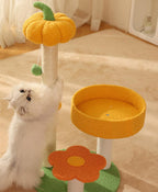 Cat climbing frame, cat bed, pumpkin style Jumping platform cat scratcher, small cat scratcher board Pet cat toys
