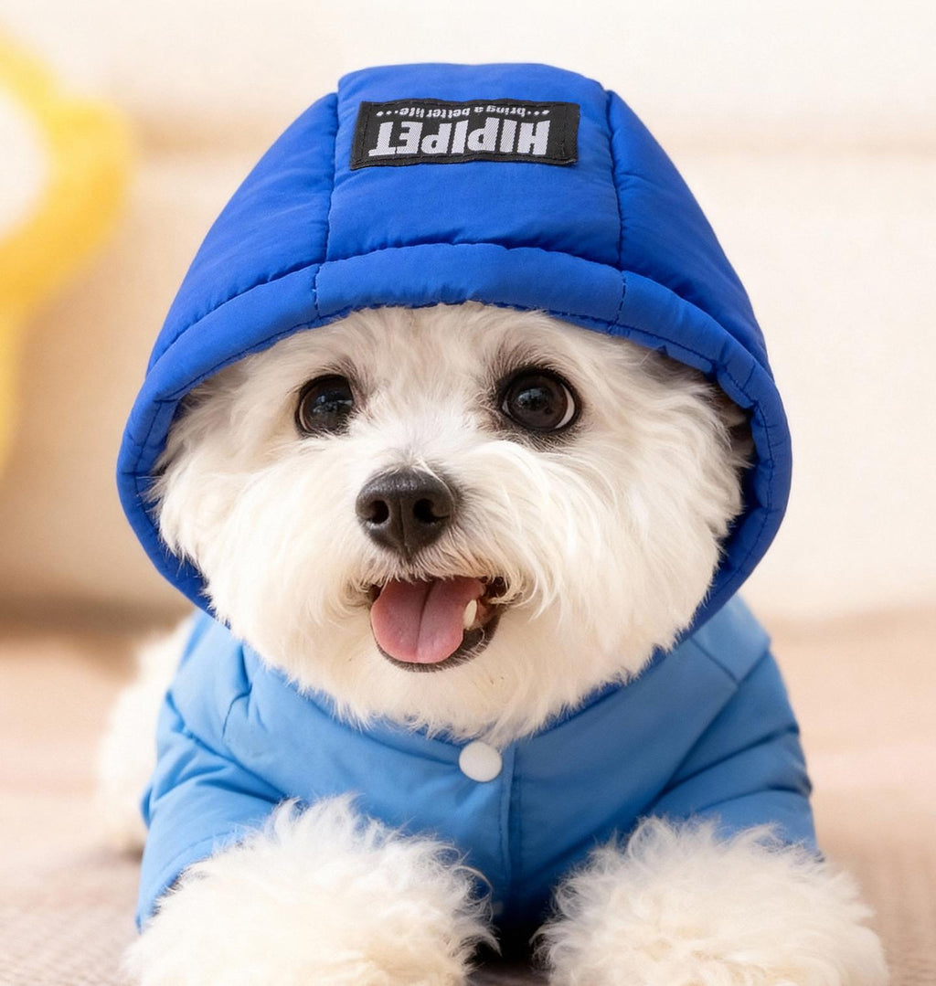 Little Bear pet down jacket Pet four-legged duck down drawstring windproof and warm down jacket Autumn and winter clothes for dogs and cats