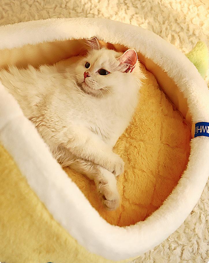 Mango-shaped cat bed Winter warm, enclosed and secure cat bed; Cats sleep in their beds, dog beds, sofas, and cat shelters