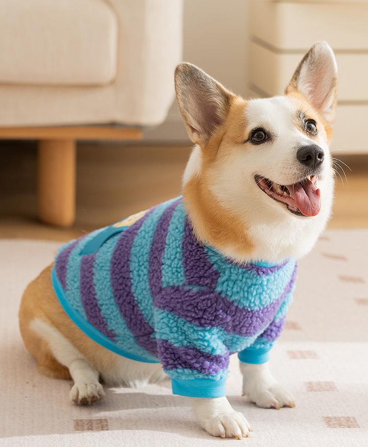 Dog monster clothes: Warm and stomach-protecting cotton-padded clothes for autumn and winter: two-legged clothes for medium and large-sized Corgis pets