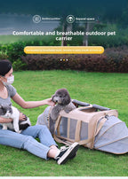 ab5747f8-ec5a-4c6a-9990-3e573f82c083