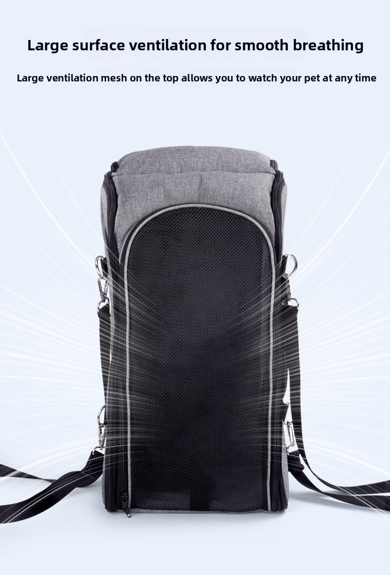 b2c309b0-a2a9-471f-a279-1b7584dea65d