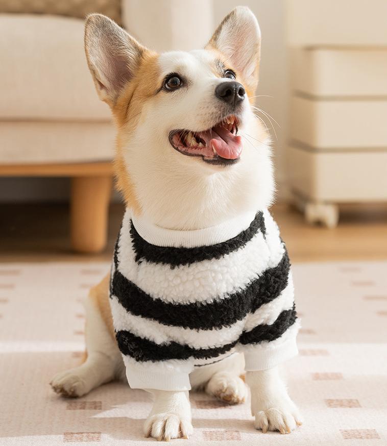 Dog monster clothes: Warm and stomach-protecting cotton-padded clothes for autumn and winter: two-legged clothes for medium and large-sized Corgis pets