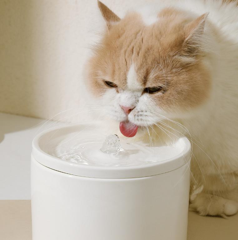 Pet ceramic water dispenser Cat automatic water dispenser Flowing silent circulating filtration ceramic water feeder Pet supplies