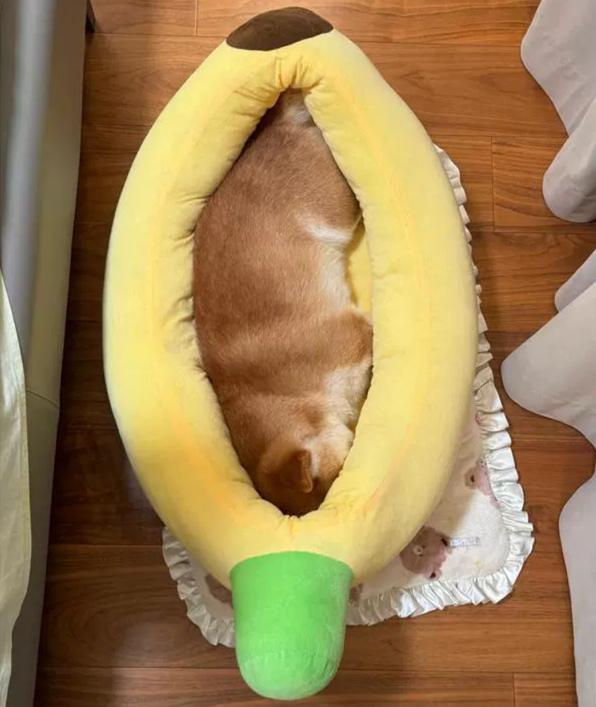 Banana boat-shaped pet bed; Wholesale detachable and washable all-season pet beds for dogs. Warm cat bed