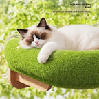 Cat home hammock cat bed; All-season climbing mat; Cat Cat solid wood hammock Window-sucking hammock