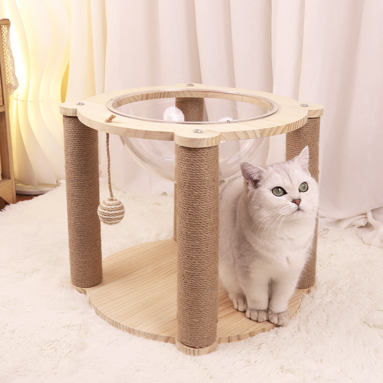 Small acrylic spacecraft cat nest cat climbing frame cat scratch column cat tree cat nest integrated cat house cat scratch board cat cage