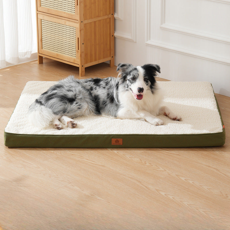 8c005152-d225-4f5b-9991-c2d835a8aef3