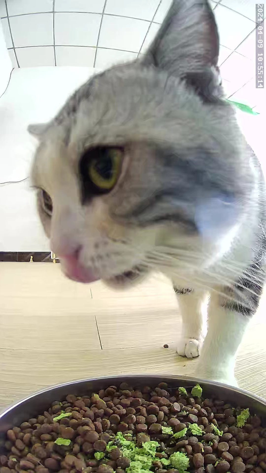 32f2e5a6-2057-49a3-88d8-41807286aa89