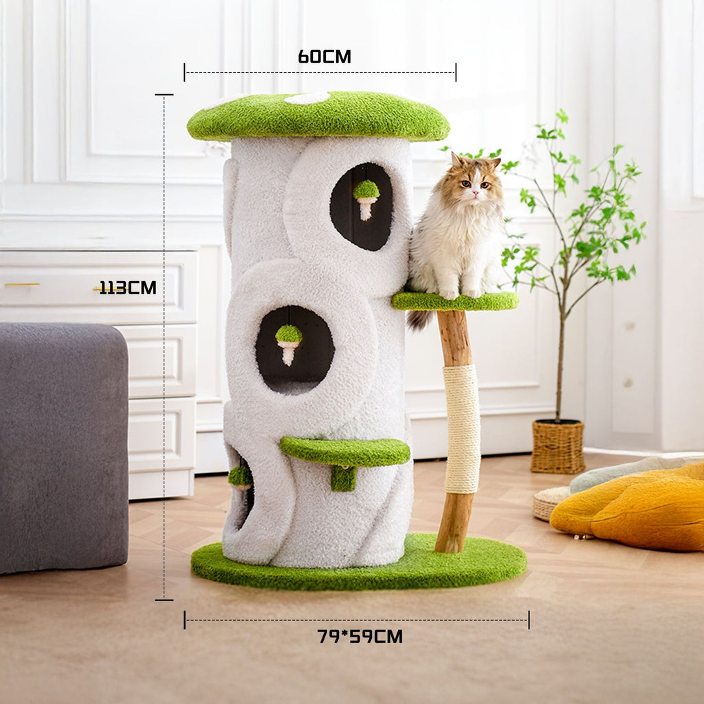 f4a801e0-243f-4df0-8076-01cb42be9375