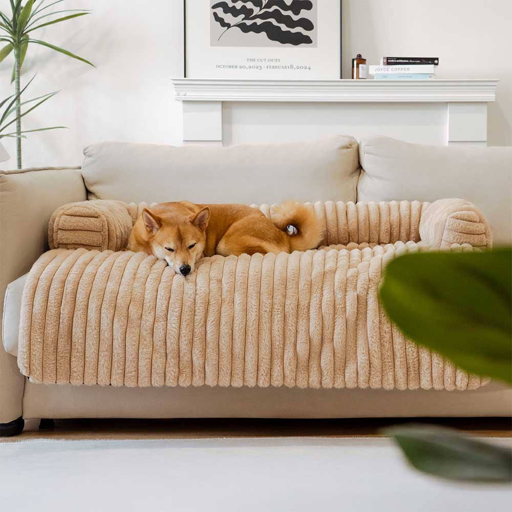 fd373f6c-56ad-4e75-b6e6-dce6674e8429