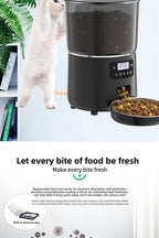 50ab599e-813c-49e9-a5f6-9763a4bf4c74